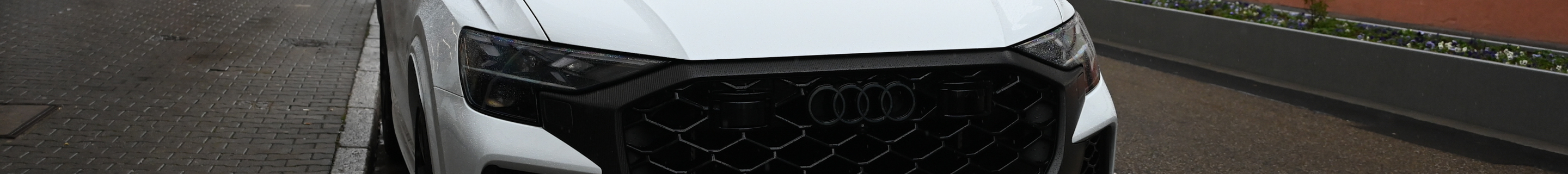 Audi RS Q8 2024