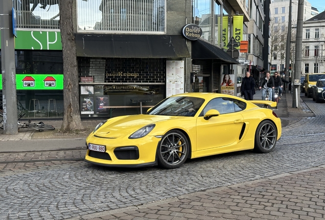 Porsche 981 Cayman GT4