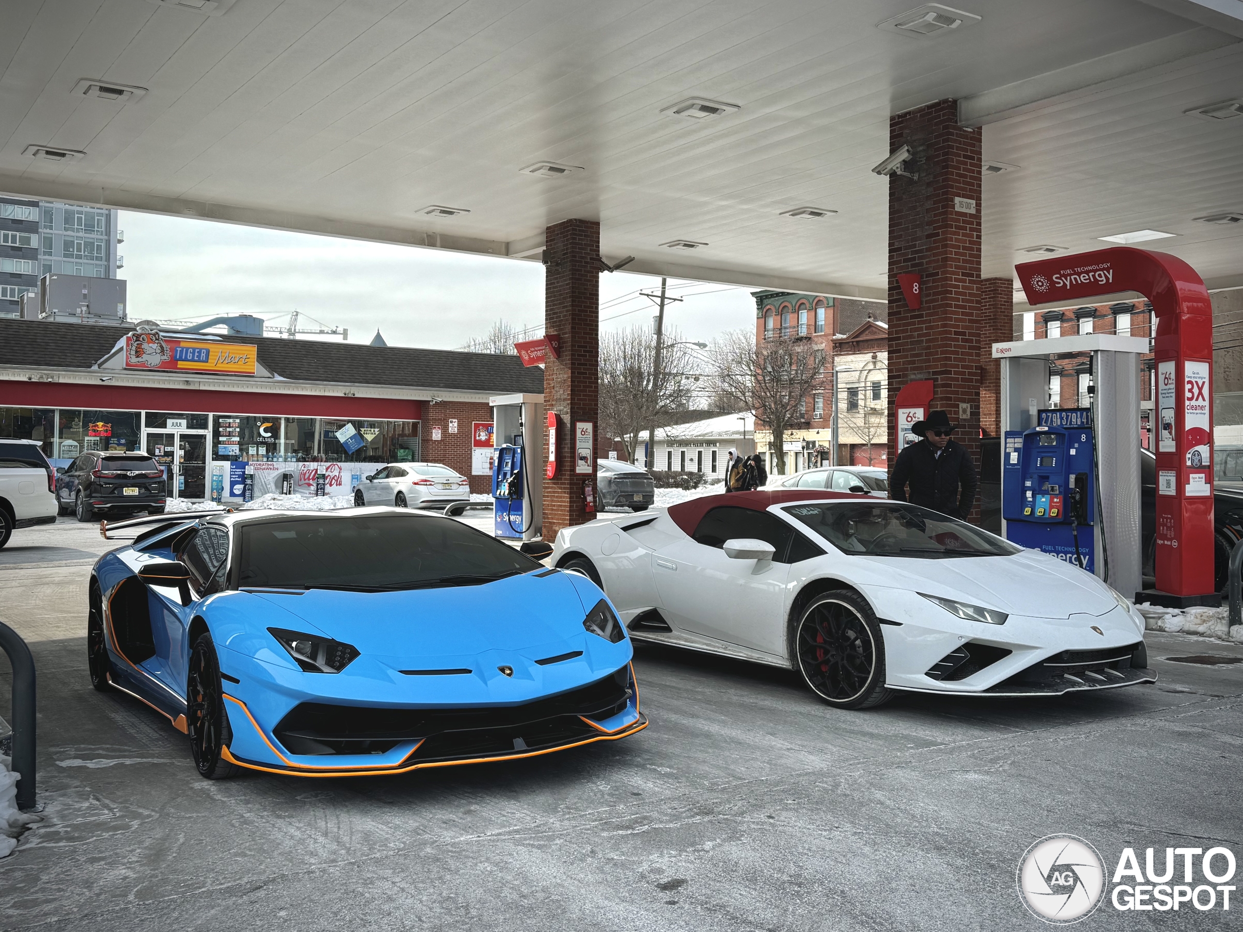 Italiaanse raspaarden genieten van de skyline van New York City