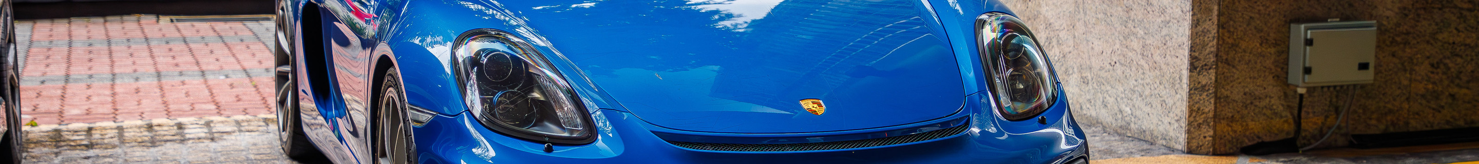 Porsche 981 Cayman GT4