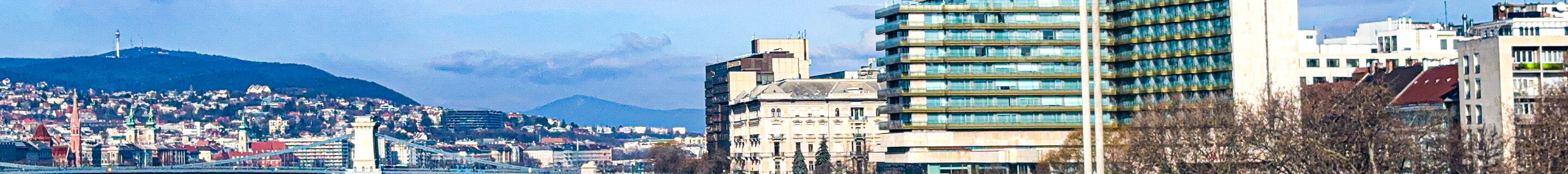 BMW X6 M F96 Competition 2024