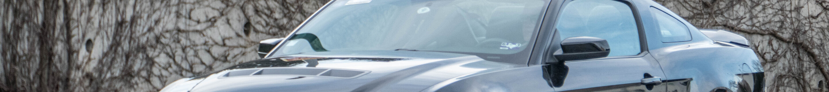 Ford Mustang Shelby GT500 2011