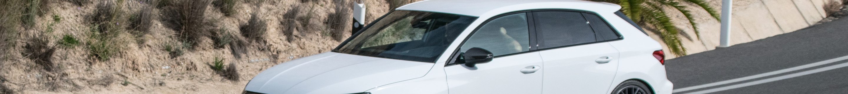 Audi RS3 Sportback 8Y 2025