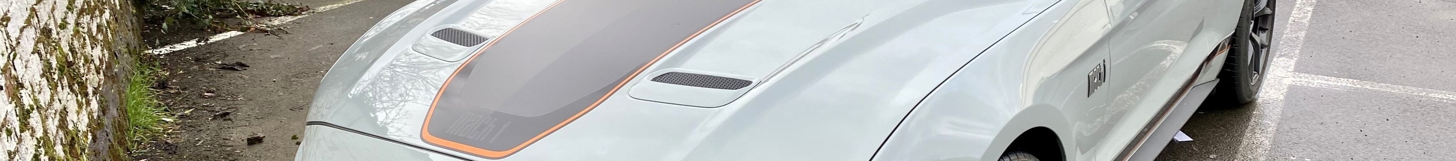 Ford Mustang Mach 1 2021