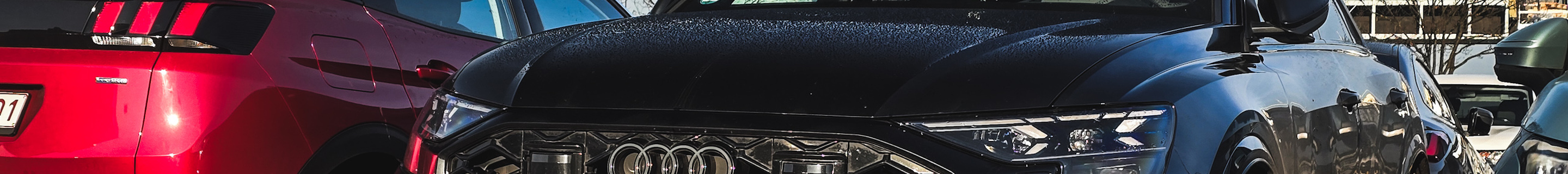 Audi RS Q8 2024