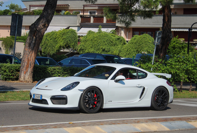 Porsche 981 Cayman GT4