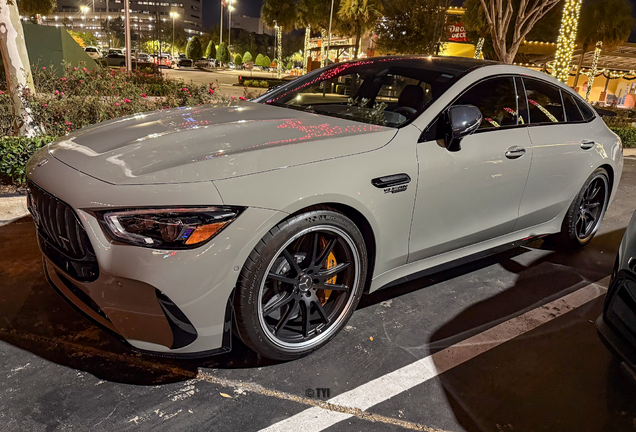 Mercedes-AMG GT 63 S E-Performance X290 2024