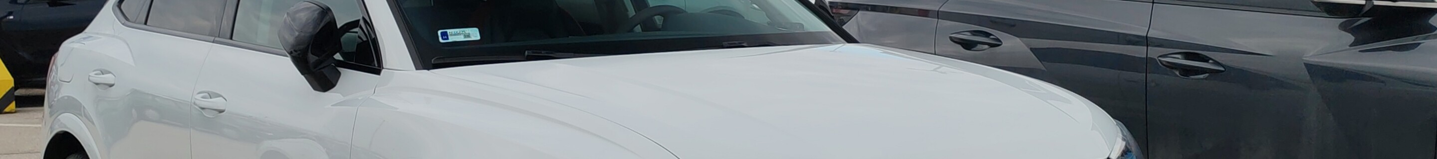 Audi RS Q3 Sportback 2020