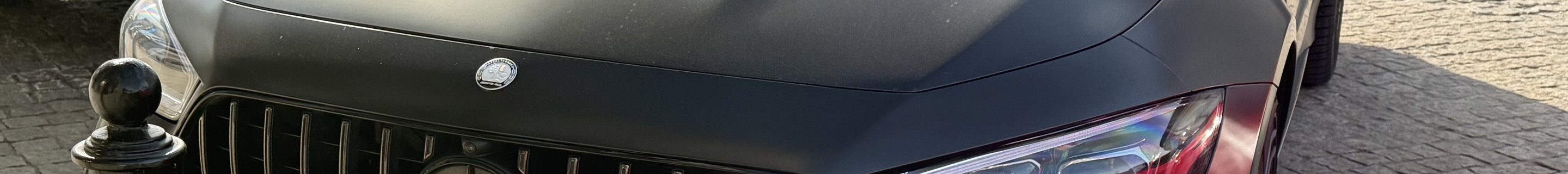 Mercedes-AMG GT 63 X290 2024