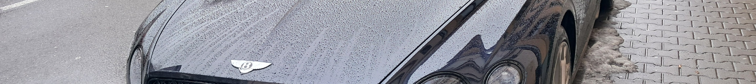 Bentley Continental GT Speed 2023 Edition 12