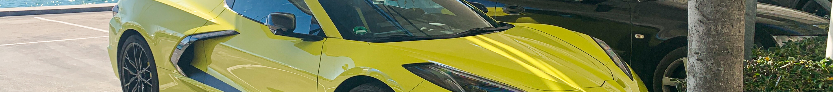 Chevrolet Corvette C8 Stingray