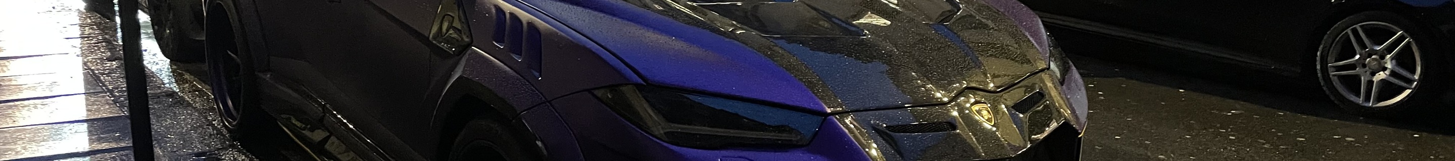 Lamborghini Urus Mansory Venatus