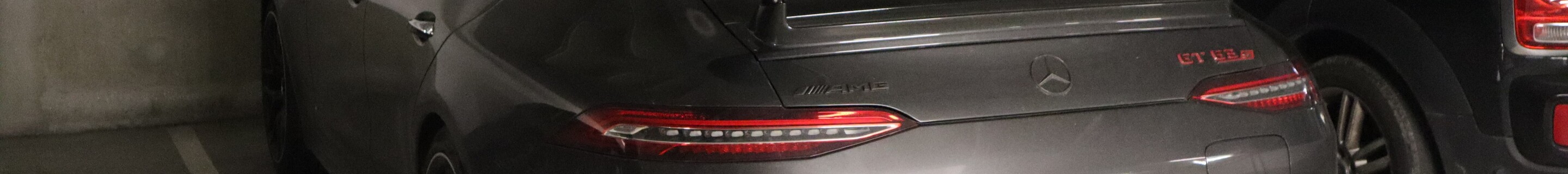 Mercedes-AMG GT 63 S E-Performance X290 2024