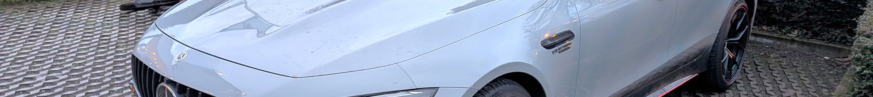 Mercedes-AMG GT 63 S E-Performance X290 F1 Edition