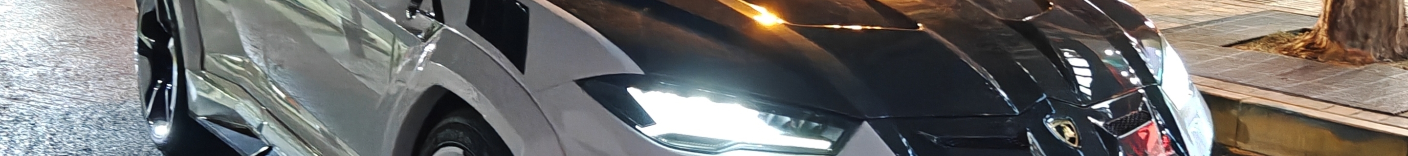 Lamborghini Urus Mansory Venatus