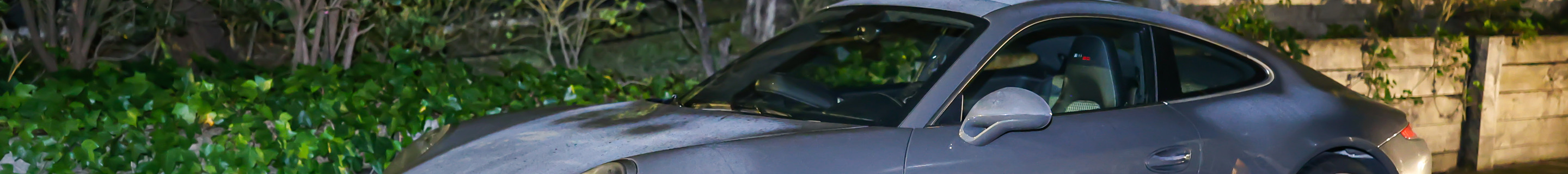 Porsche 991 50th Anniversary Edition