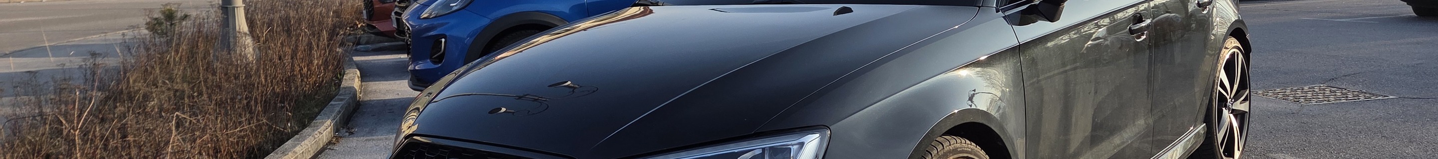 Audi RS3 Sportback 8V 2018