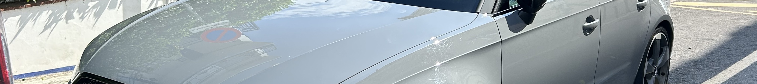 Audi RS3 Sportback 8V 2018