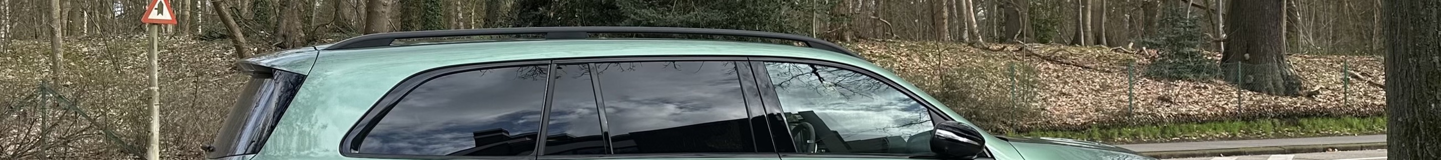 Mercedes-AMG GLS 63 X167 2024