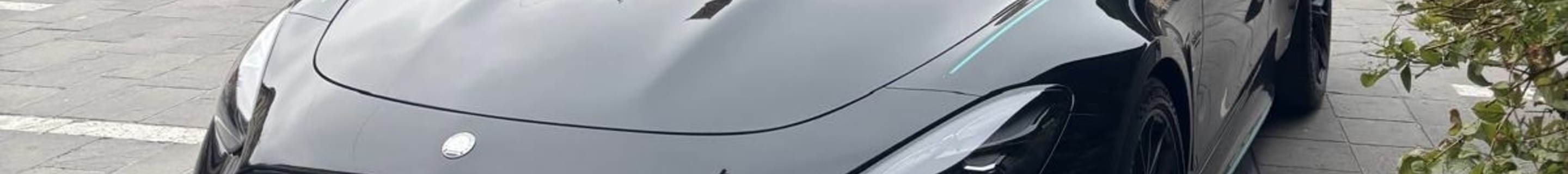 Mercedes-AMG GT 63 Pro C192 Motorsport Collectors Edition