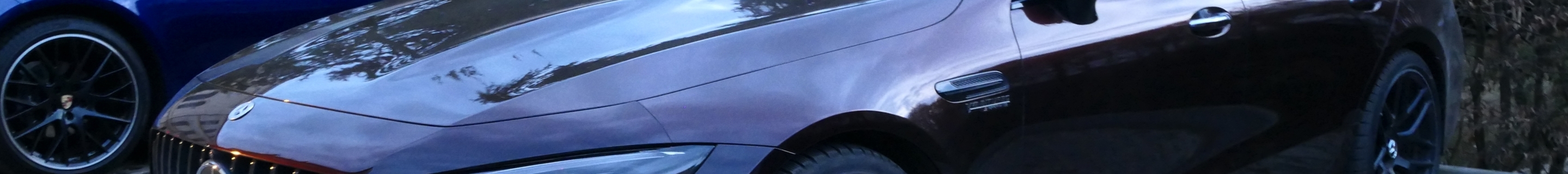 Mercedes-AMG GT 63 S E-Performance X290