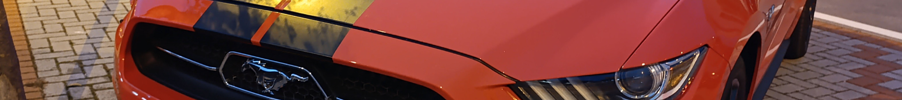 Ford Mustang GT 50th Anniversary Edition