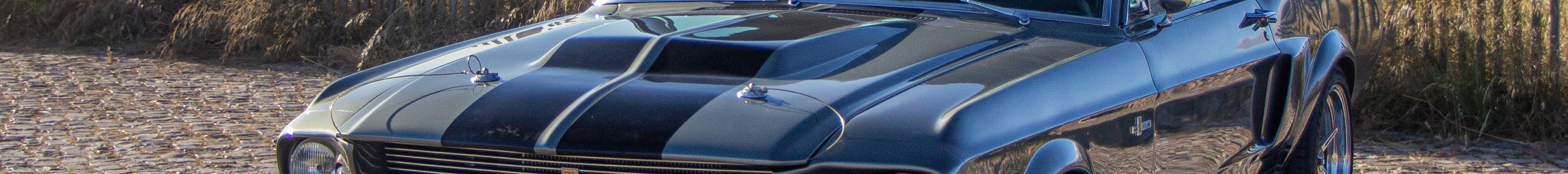 Ford Mustang Shelby G.T. 500E Eleanor