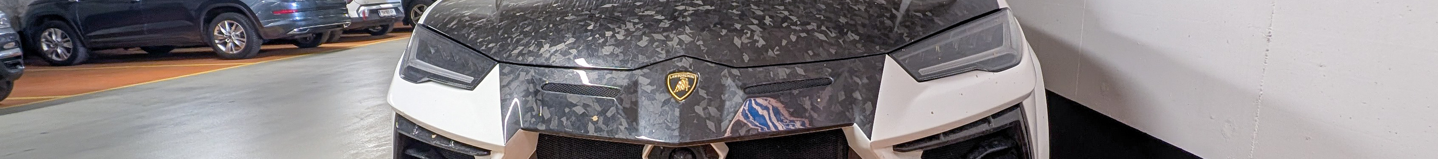 Lamborghini Urus Mansory Venatus