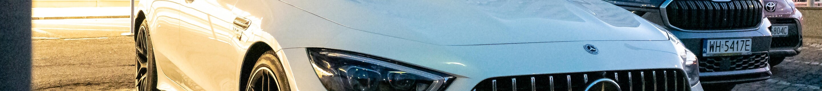 Mercedes-AMG GT 63 S E-Performance X290