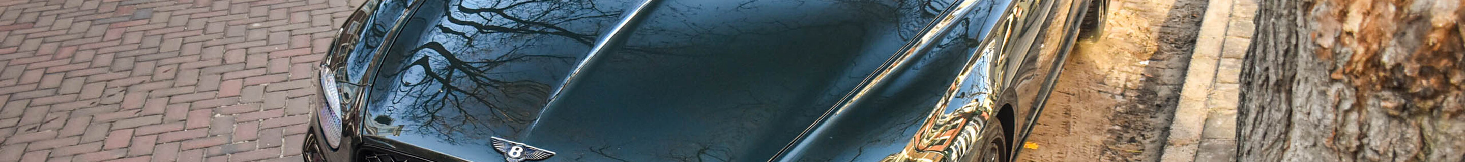 Bentley Continental GT Black Edition 2025