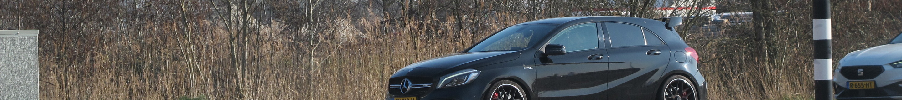 Mercedes-AMG A 45 W176 2015