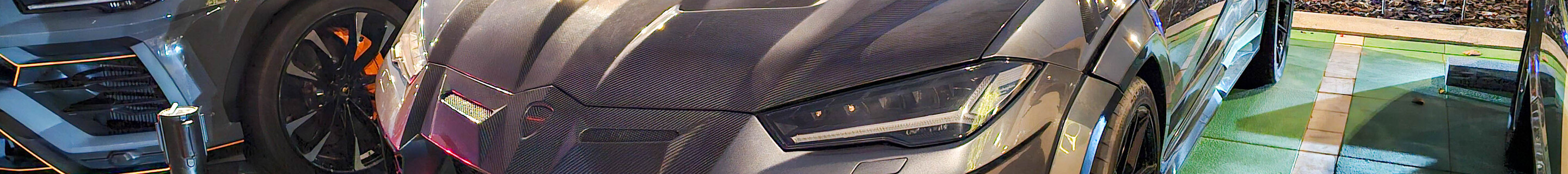 Lamborghini Urus Mansory Venatus