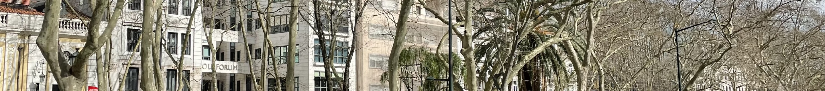 Mercedes-AMG GLS 63 X167 2024