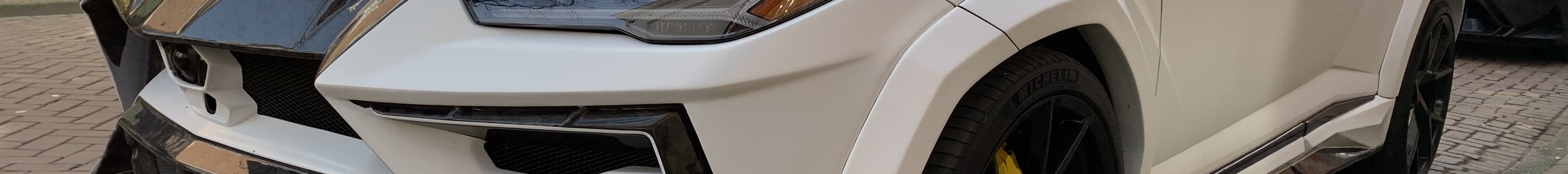 Lamborghini Urus Mansory Venatus