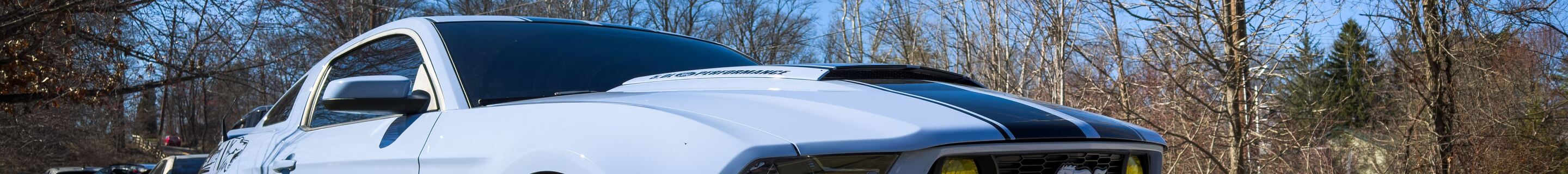 Ford Mustang GT 2010