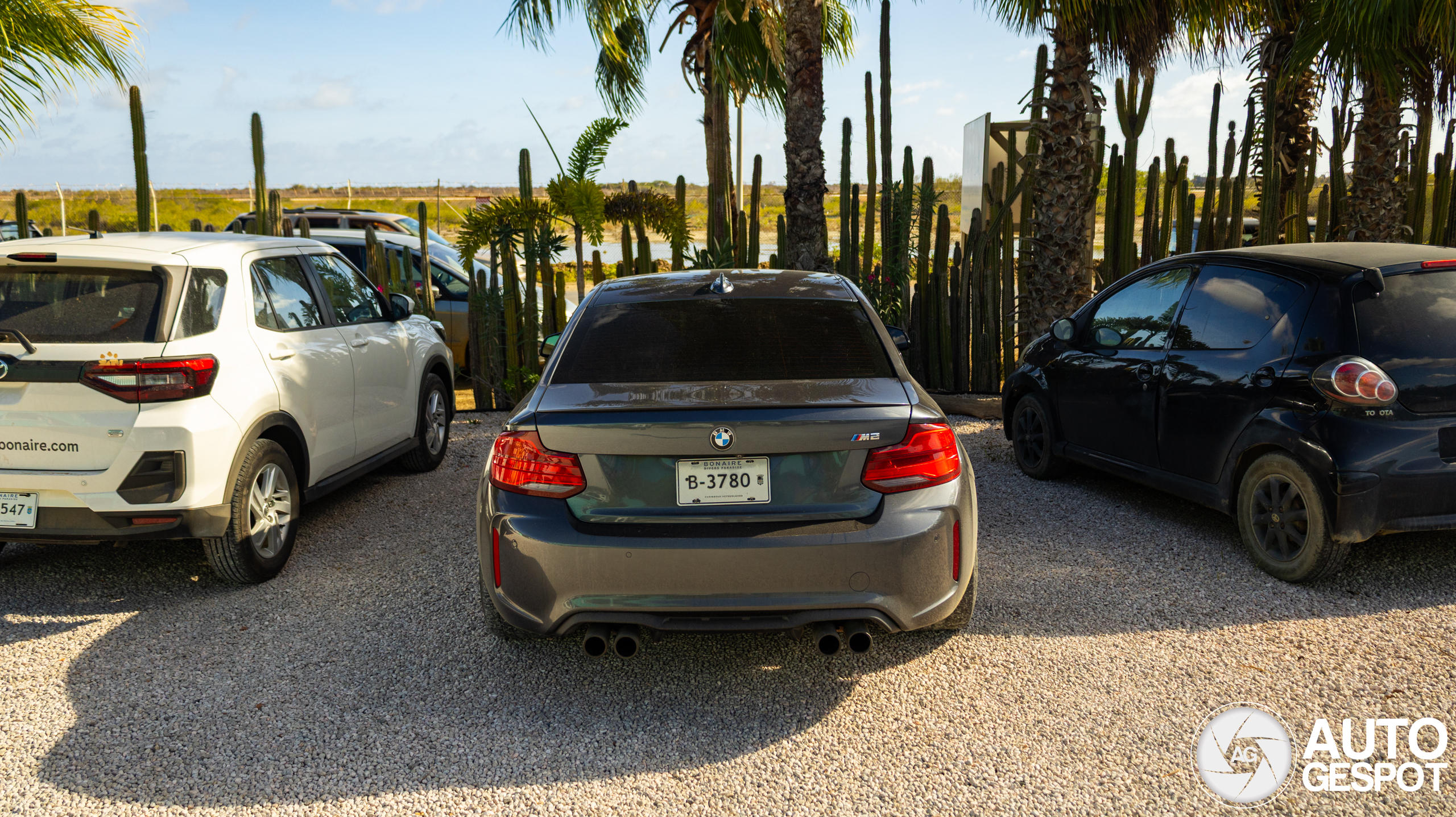 Spots in andere delen van het Koninkrijk