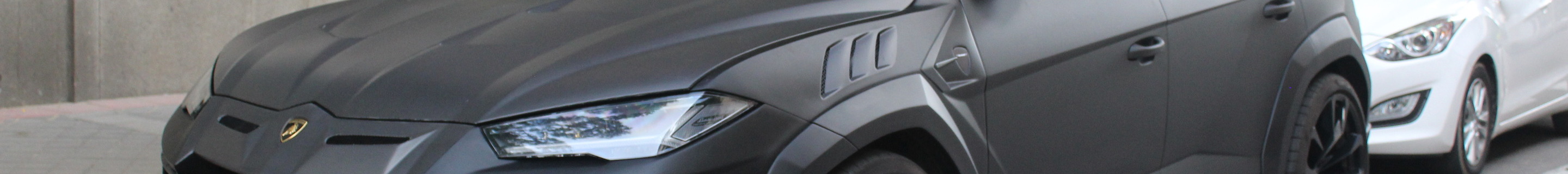 Lamborghini Urus Mansory Venatus