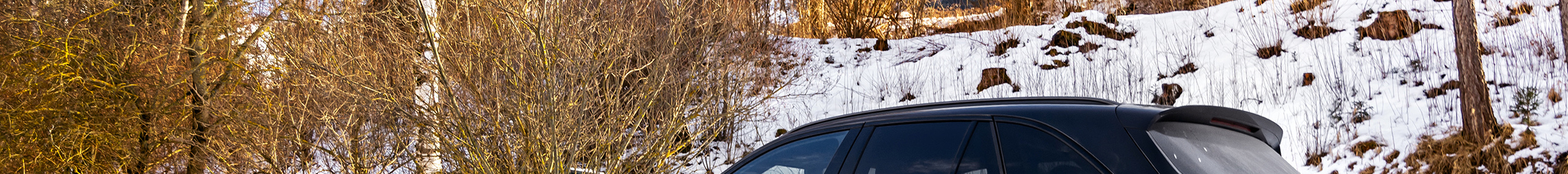 Mercedes-AMG GLC 63 S X253 2019