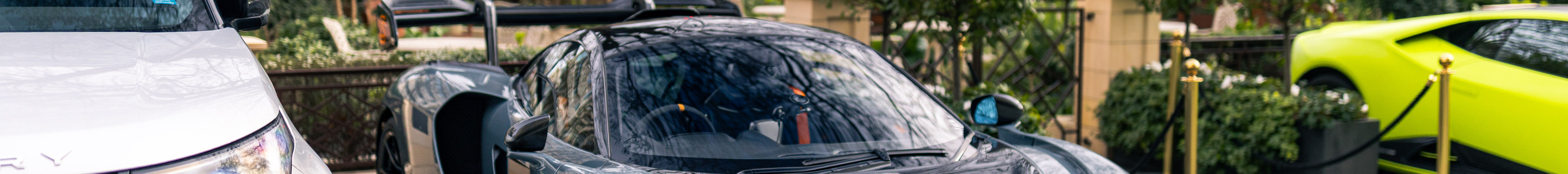 McLaren Senna
