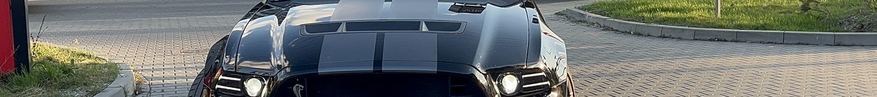 Ford Mustang Shelby GT500 2013