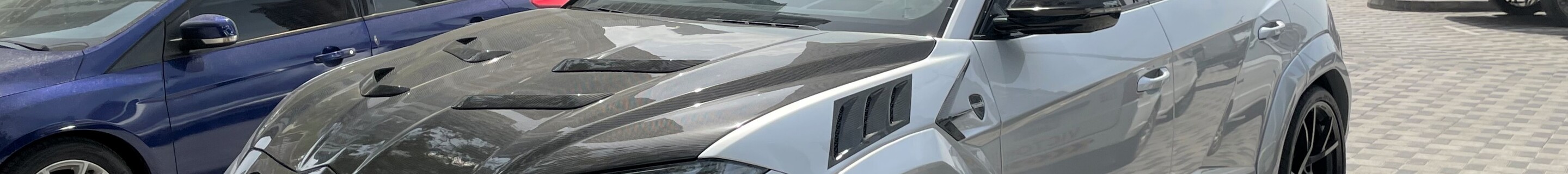 Lamborghini Urus Mansory Venatus EVO