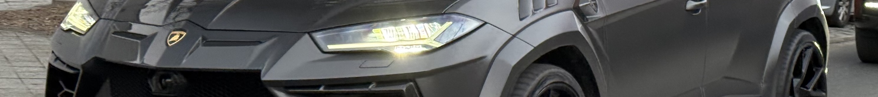 Lamborghini Urus Mansory Venatus