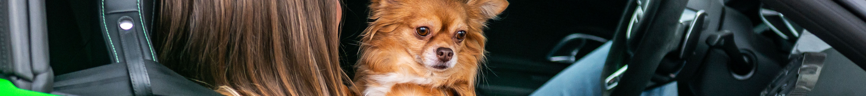 Audi R8 V10 Plus Spyder 2017