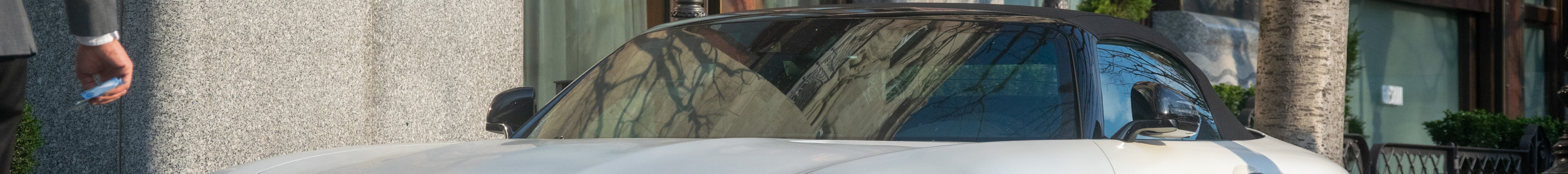 Mercedes-AMG GT C Roadster R190 Edition 50