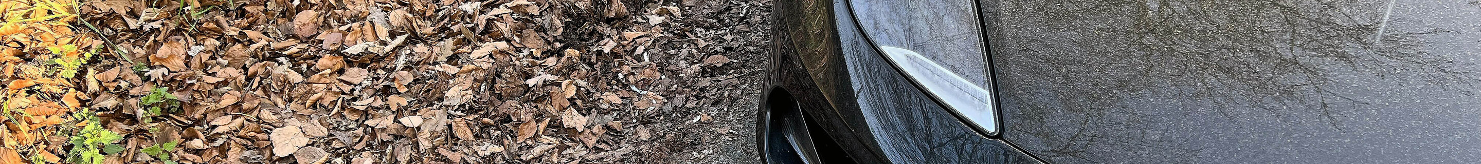 Lotus Evora GT 410 Sport