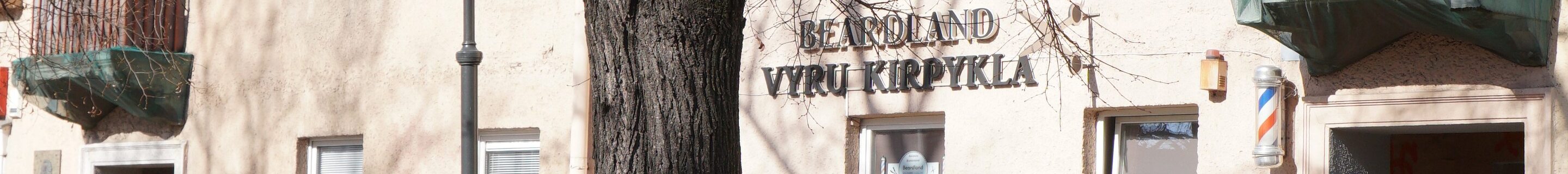 Mercedes-AMG GT 63 S X290 2024