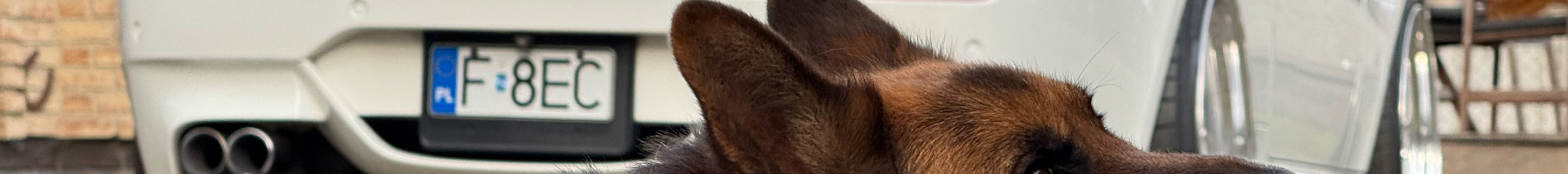 BMW Hamann M6 E 63 Coupé