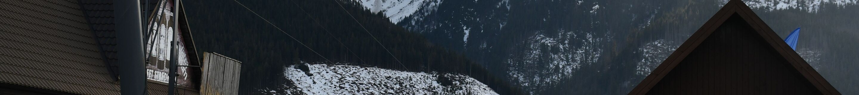 Porsche 95B Macan GTS MkI