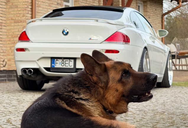 BMW Hamann M6 E 63 Coupé