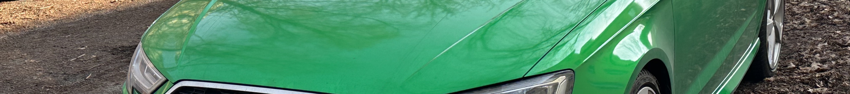 Audi RS3 Sportback 8V 2018